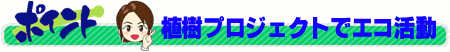 植樹プロジェクトでエコ活動